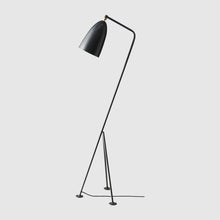 Grasshopper Floor Lamp