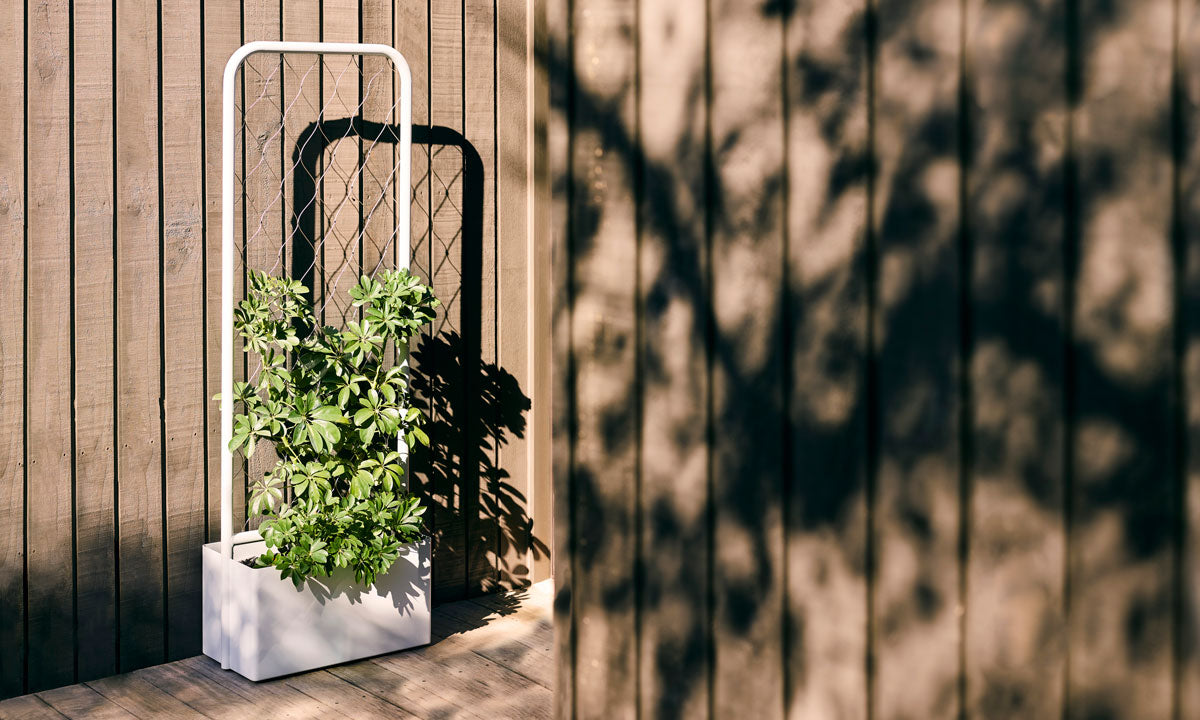 Trace Planter