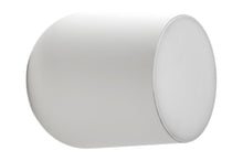 Passepartout J10 Ceiling and Wall Light