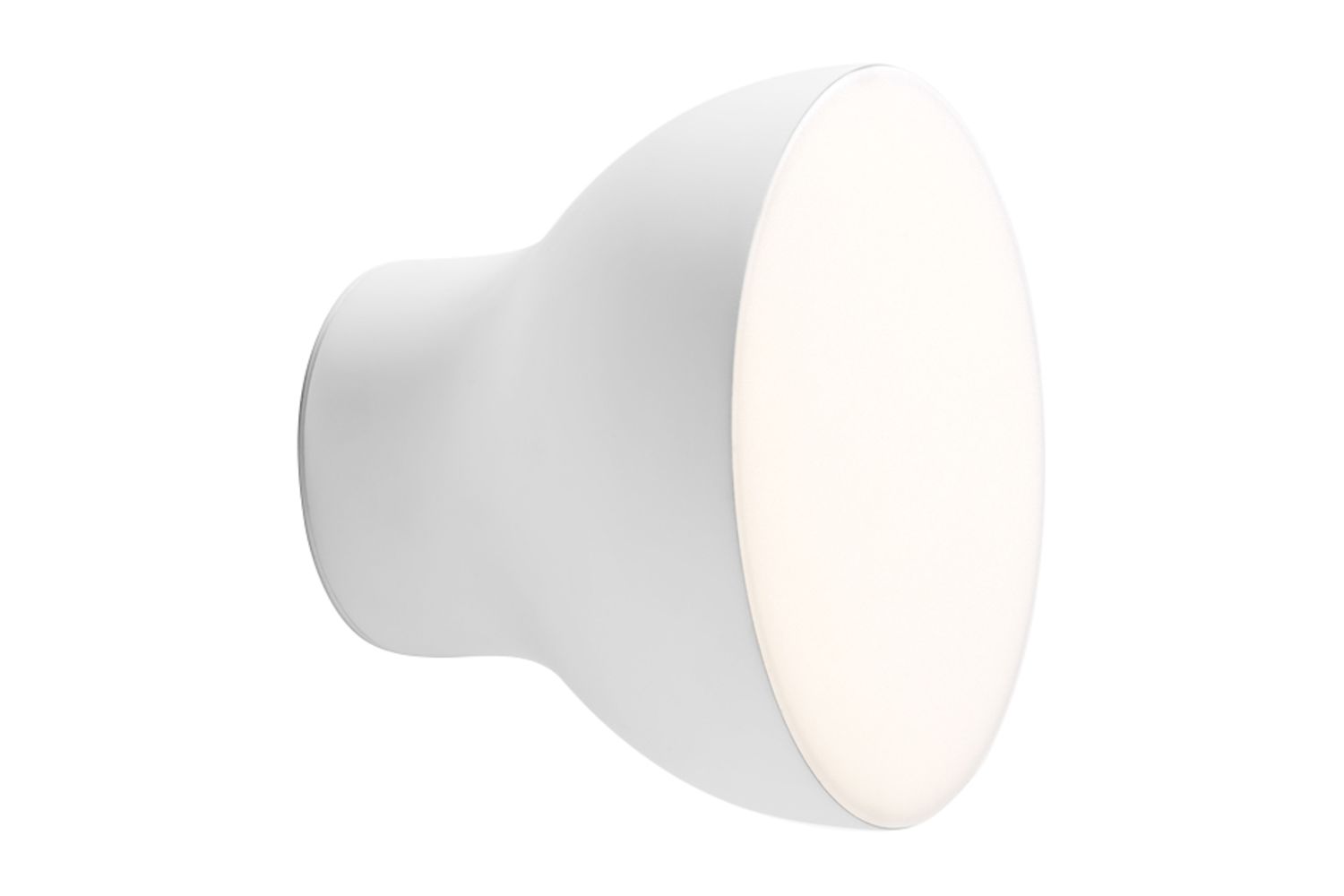 Passepartout JH11 Ceiling and Wall Light