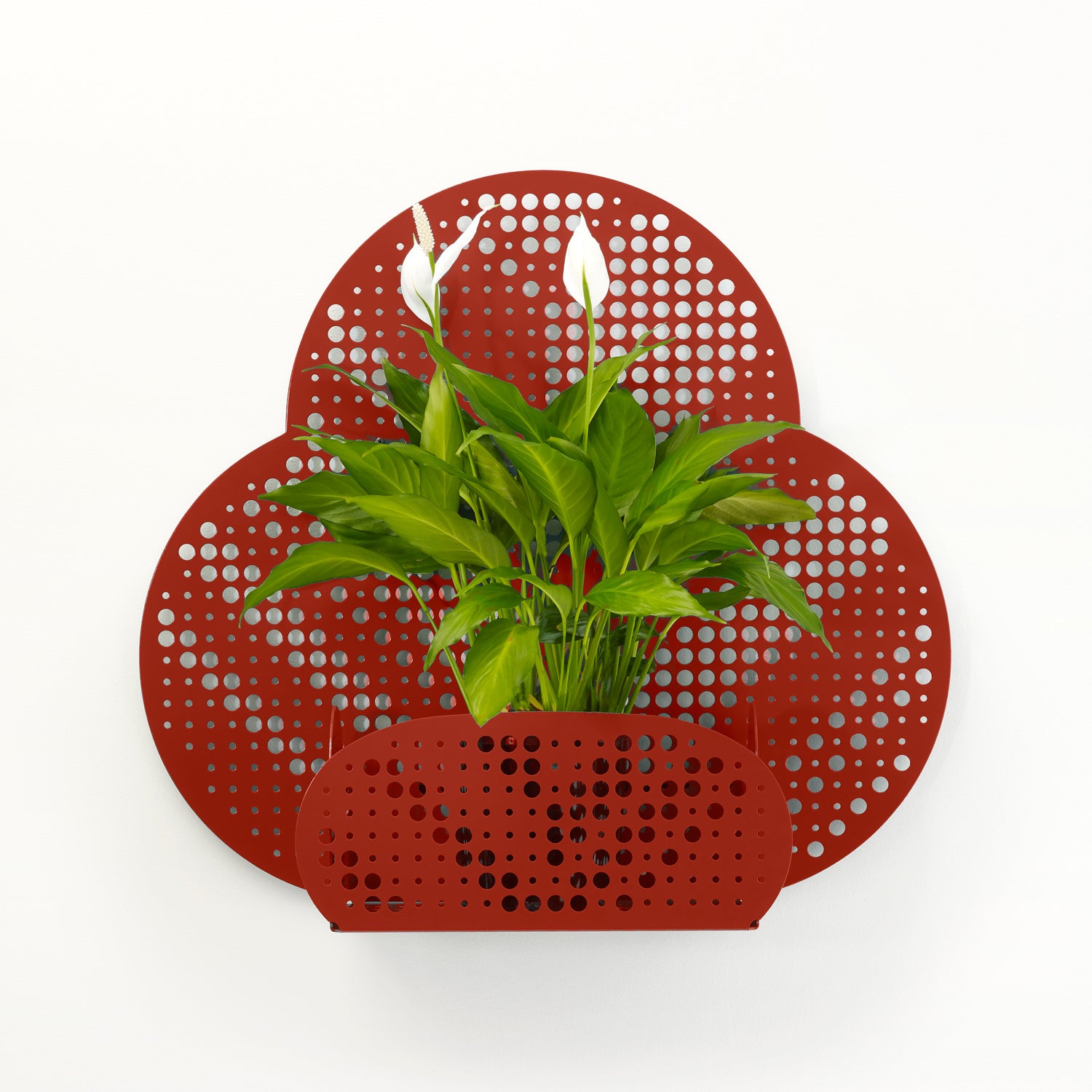 Bloom Planter - Flower Design