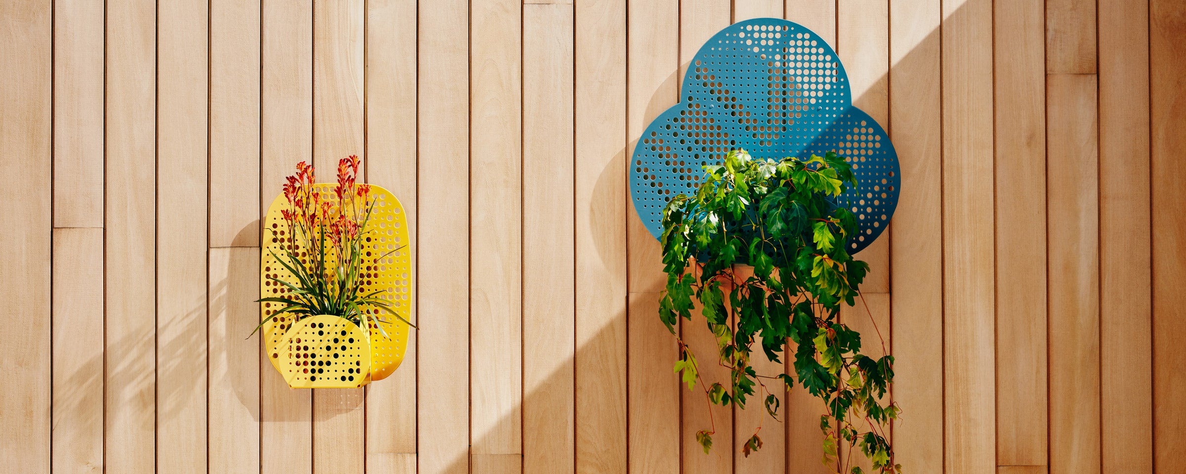 Bloom Planter - Flower Design