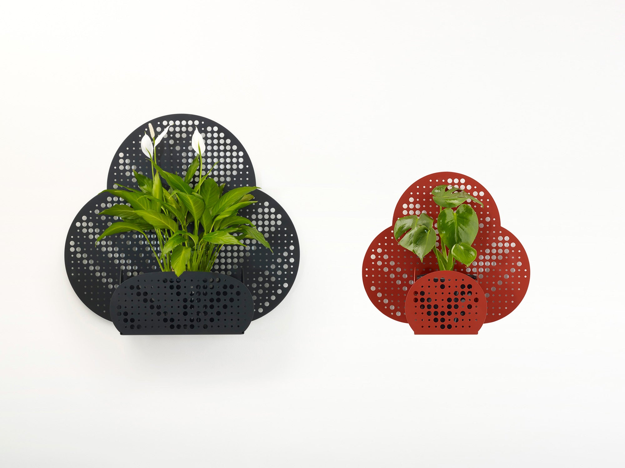 Bloom Planter - Flower Design