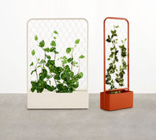 Trace Planter