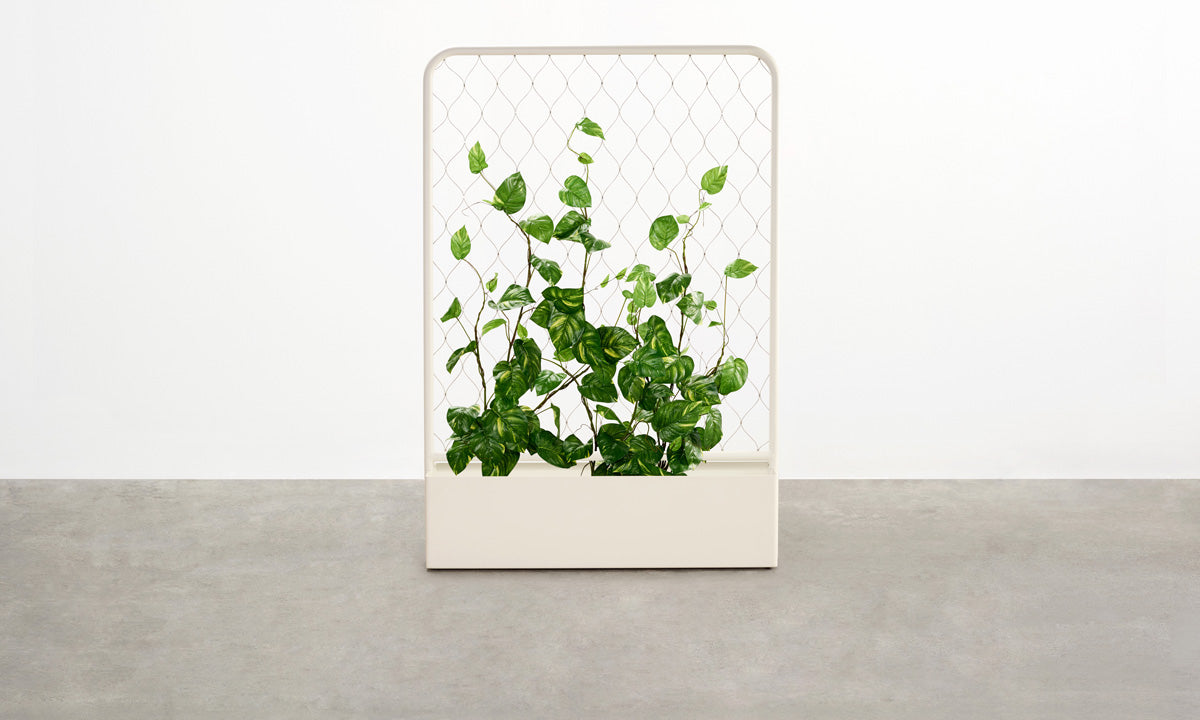 Trace Planter