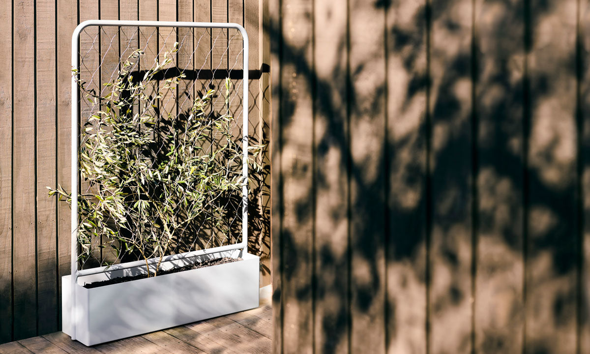 Trace Planter