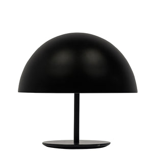 Dome Lamp