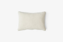 Develius Pillow, Small