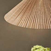 A1972 Pendant - Including Counterweight