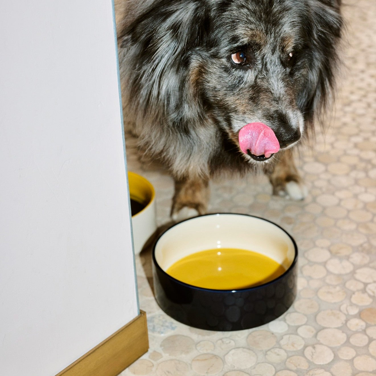 HAY Dogs Bowl Large - Yellow, Blue