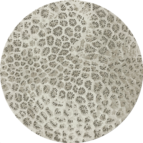 Reef 250cm Diameter