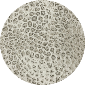 Reef 250cm Diameter