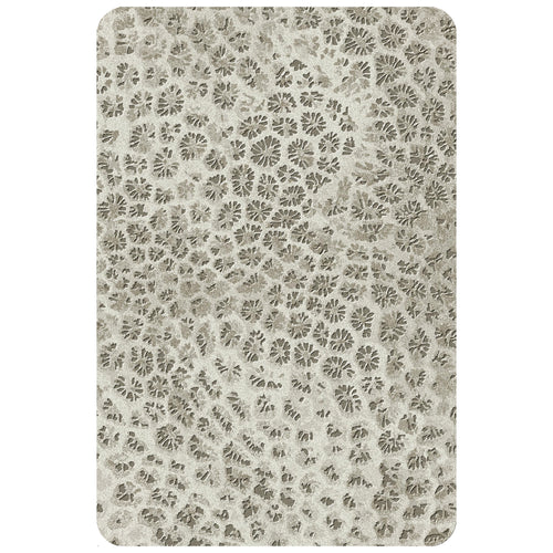 Reef 200cm x 300cm