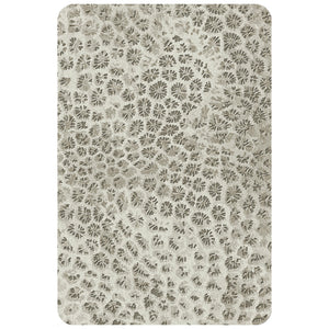Reef 200cm x 300cm