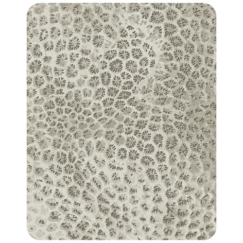 Reef 240cm x 300cm