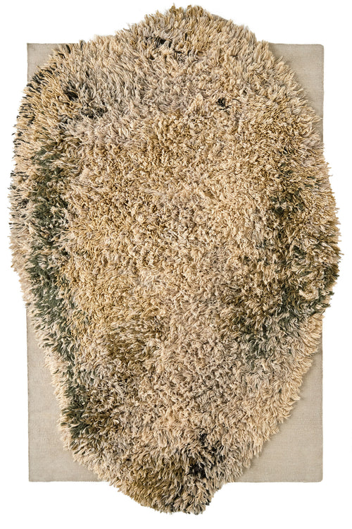 Alga Grey 211x338cm