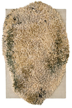 Alga Grey 179x270cm