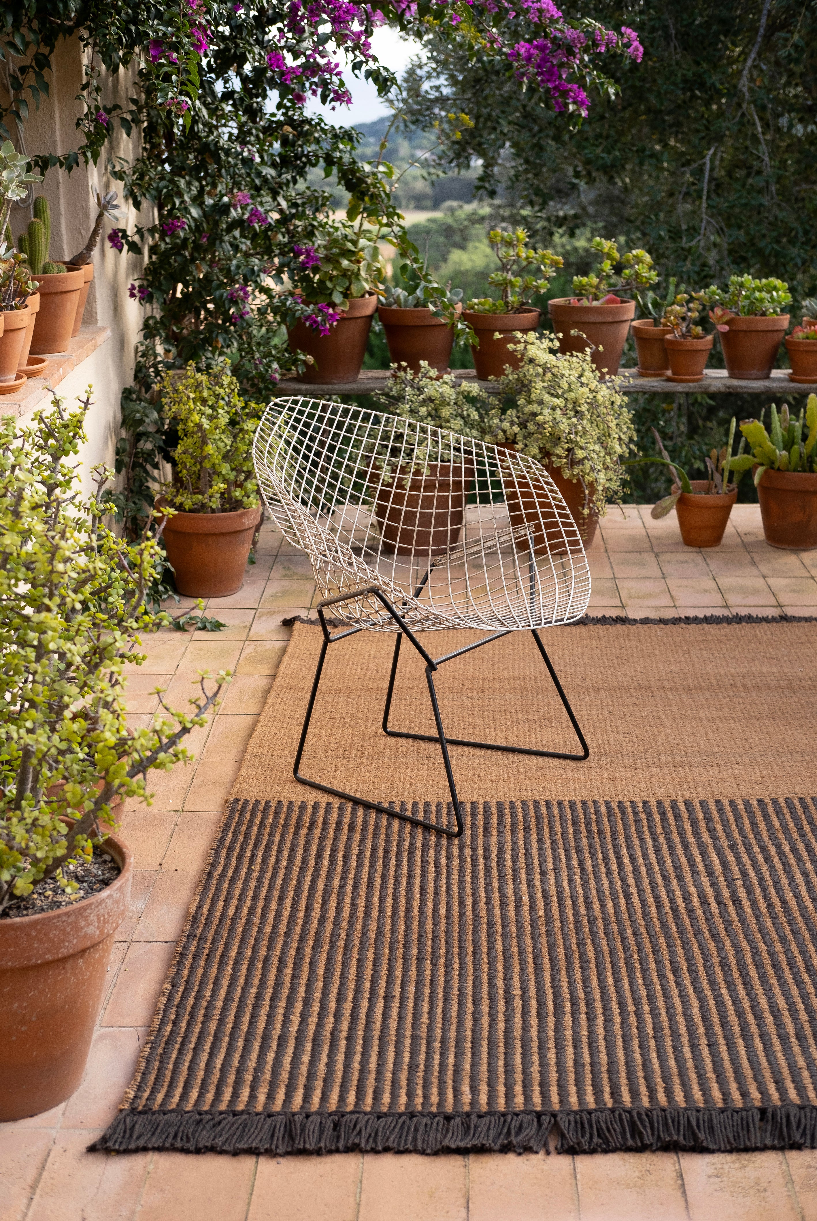 Garden Rug Black - 170x240cm