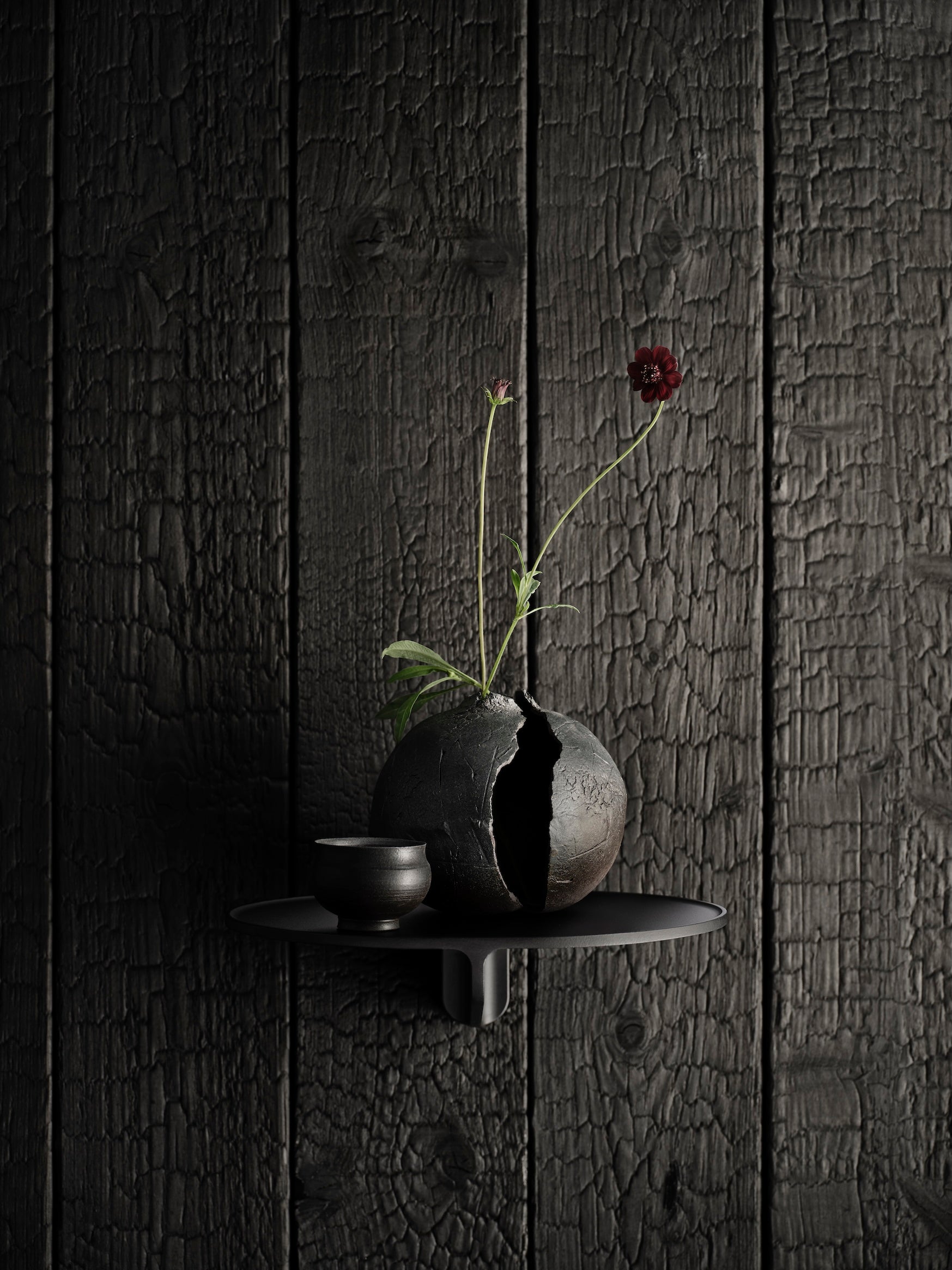 Museum NM&.045 Shelf - Dark Brown