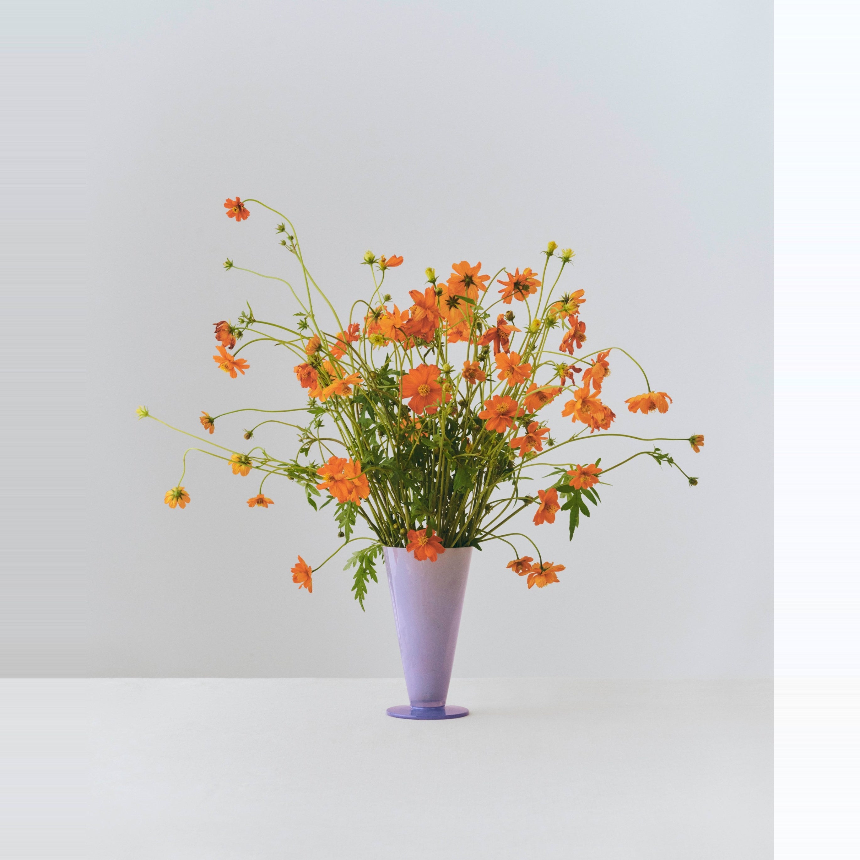 Conical Vase